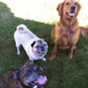 Meet your Posher, Natalie